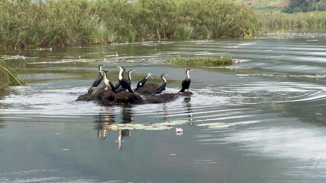 Lake Bunyonyi Rock Resort Kabale Exteriör bild